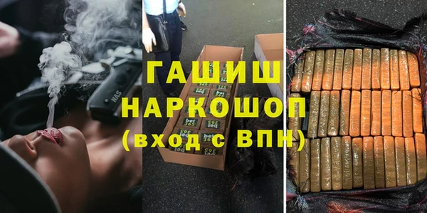 гашик Козловка