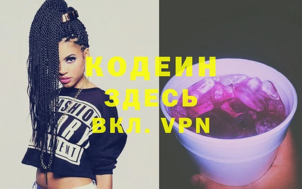крисы Инта